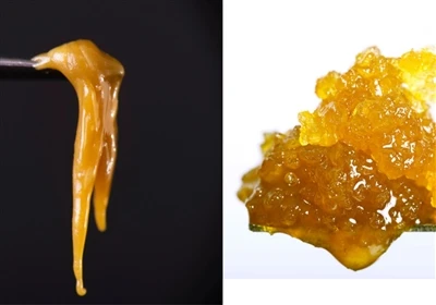 Live Resin vs. Live Rosin: Šta je razlika?